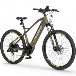 SX300 green 20" - MTB / górski rower elektryczny - EcoBike - Torun