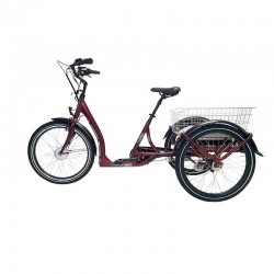 EcoEdition Maxi - trójkołowiec elektryczny cargo - Geobike - Toruń