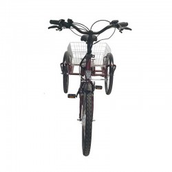 EcoEdition Maxi - trójkołowiec elektryczny cargo - Geobike - Toruń