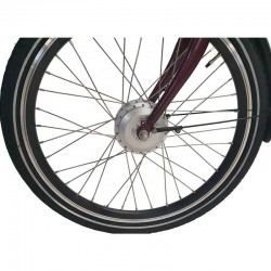 EcoEdition Maxi - trójkołowiec elektryczny cargo - Geobike - Toruń
