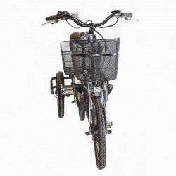 Ewing - rower elektryczny trójkołowiec GEOBIKE